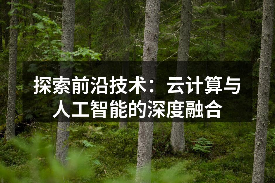 探索前沿技术：云计算与人工智能的深度融合