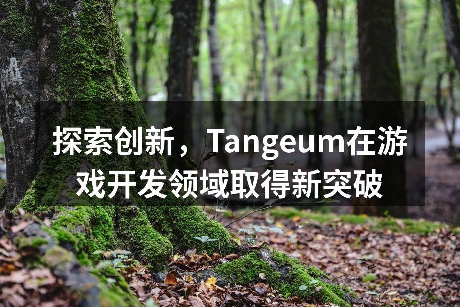 探索创新，Tangeum在游戏开发领域取
