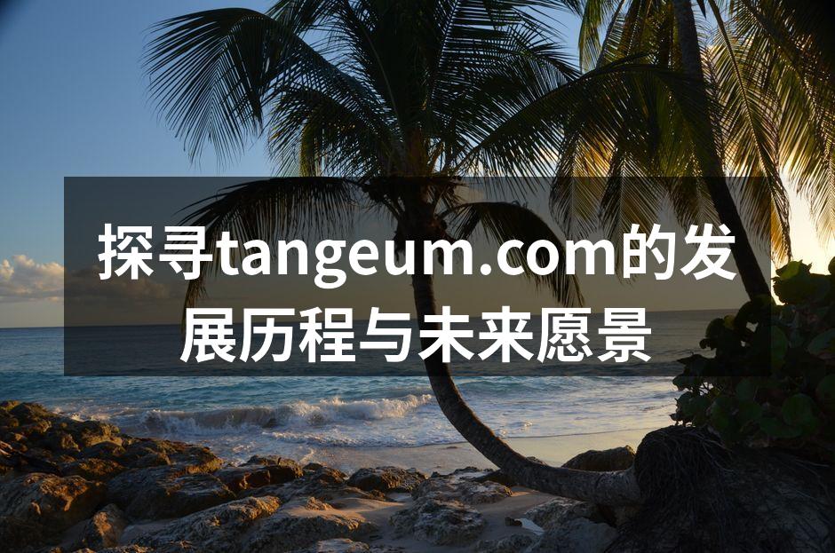 tangeum.com的团队在技术会议上交流