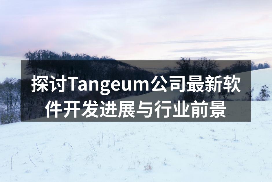 Tangeum新软件发布会现场