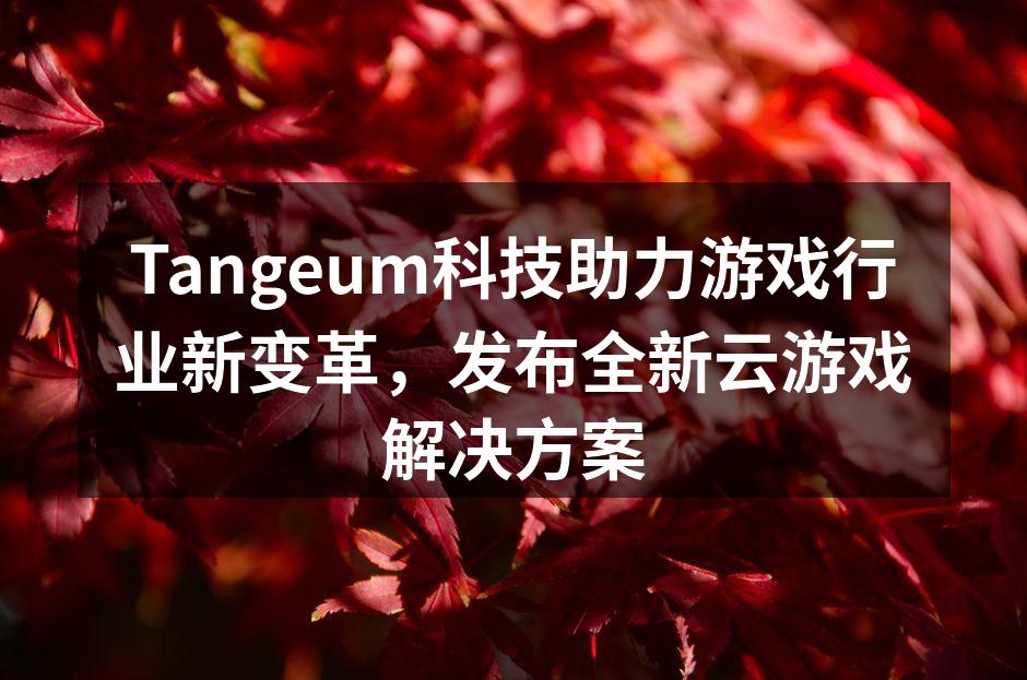 Tangeum云游戏解决方案展示
